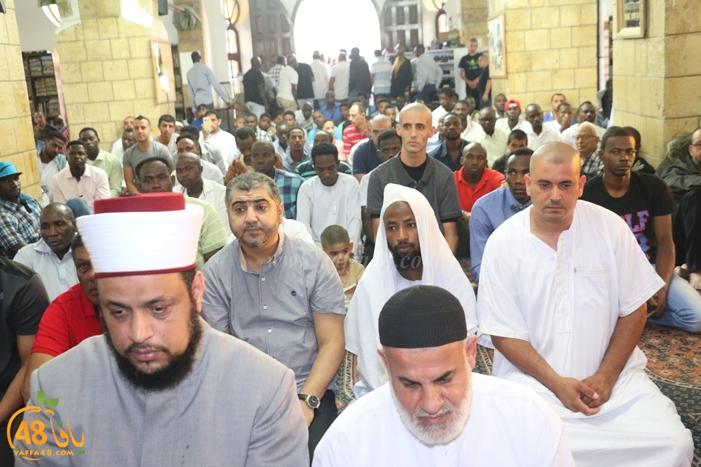 ad7a j u 7san (34).JPG